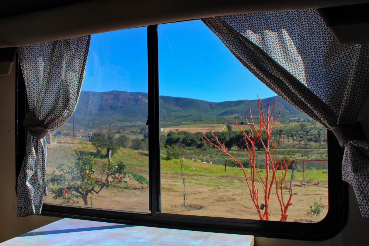 Rancho Matalote En Valle De Guadalupe Exterior foto